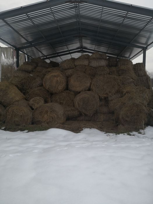 Vând baloti de fân, citește anunțul!