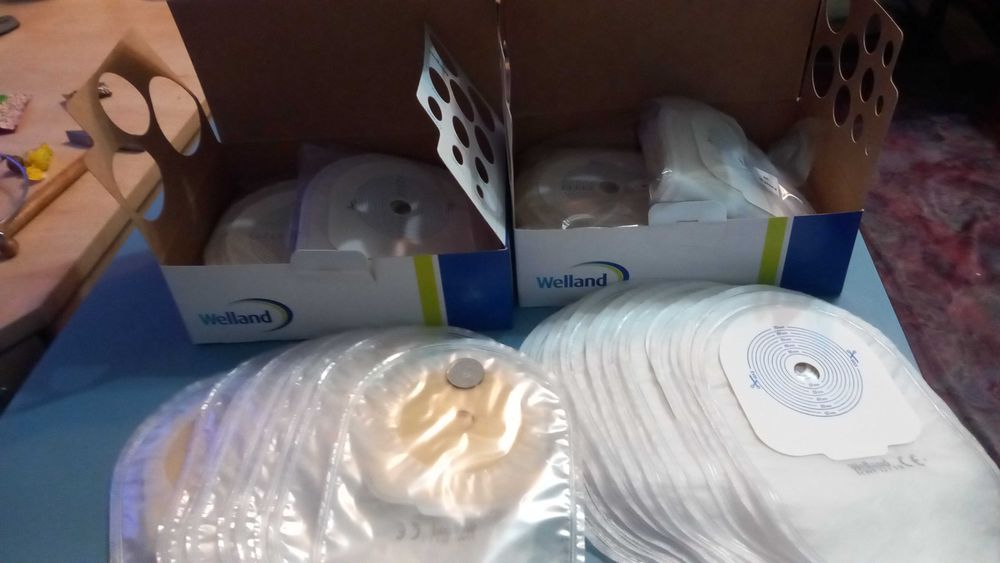 Pungi colostoma (WELLAND).