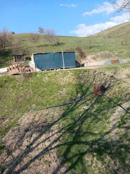 Дала хобли уй 30