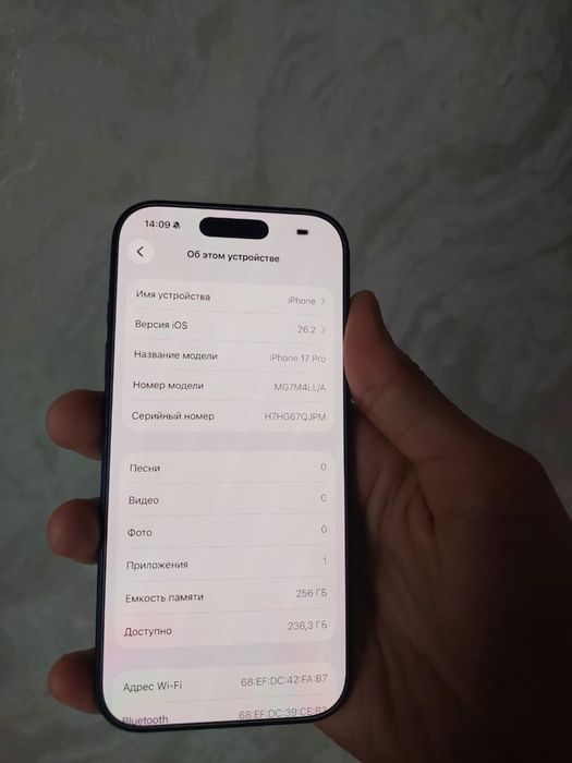 17 pro 256 gb karopka bor