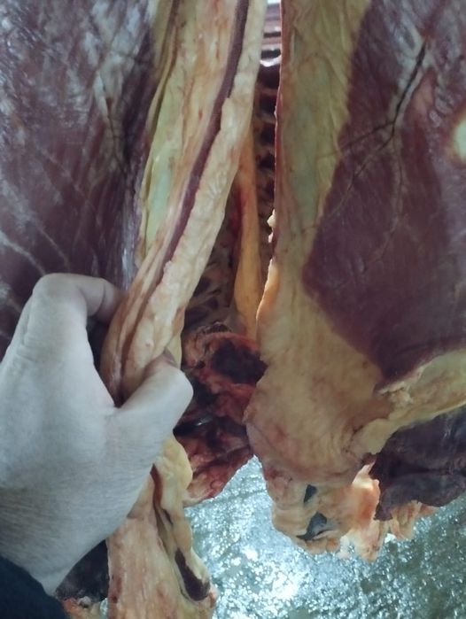 Қасапшы қасапшы қасапшы