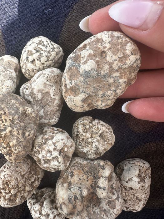 Magnezit piatră  brută naturală Gran Canaria  se vând minim  10  buc