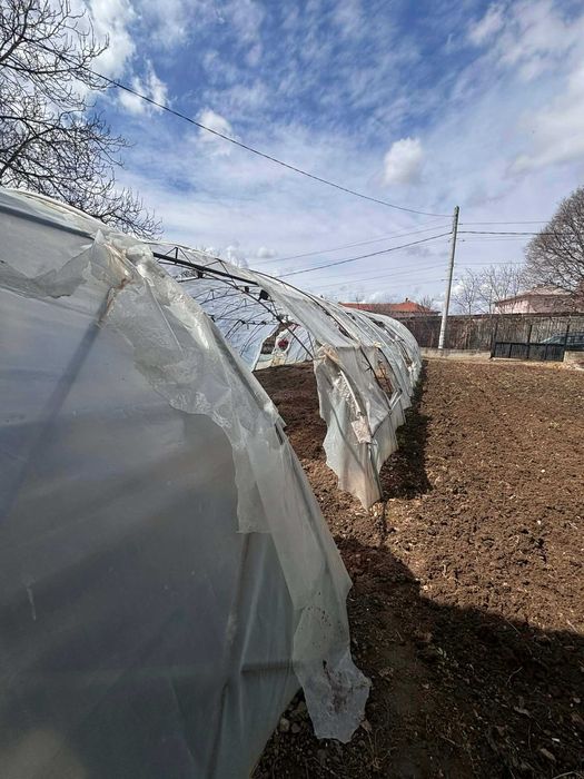 Оранжерия 25x6м метална