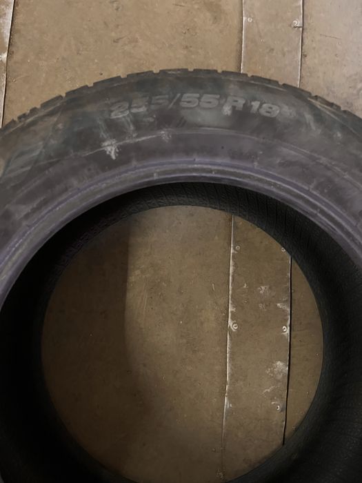 Летние шины Viatti Bosco