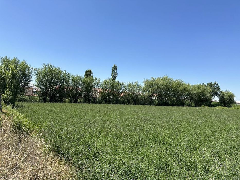 Uchastka sotiladi