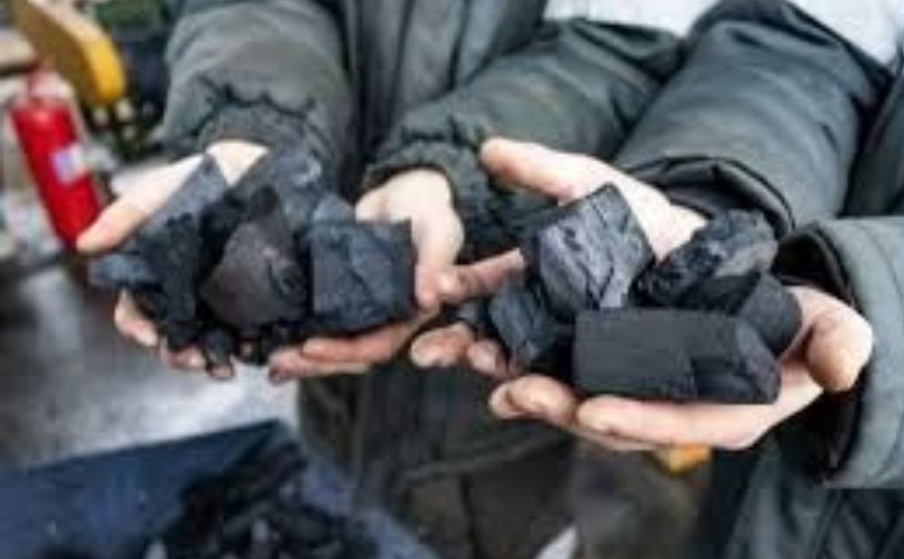 Древесный уголь оптом и в розницу