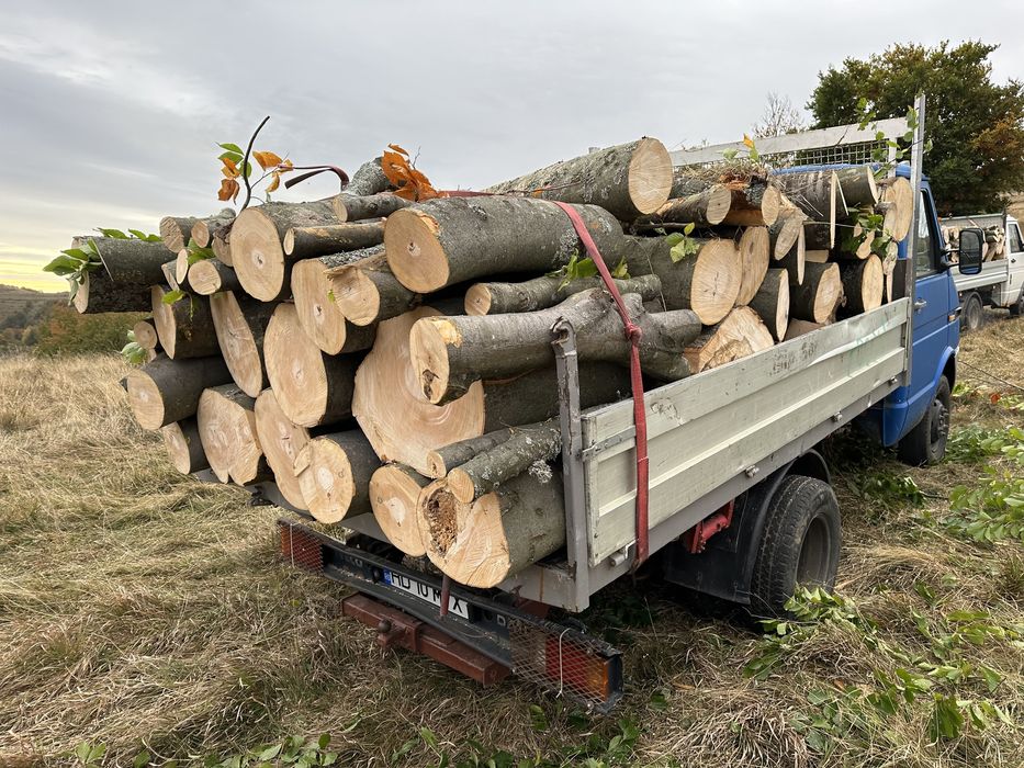 Lemn de foc Fag 3,7 Cub