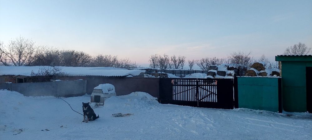 Продам дом полностью с хозяйством.