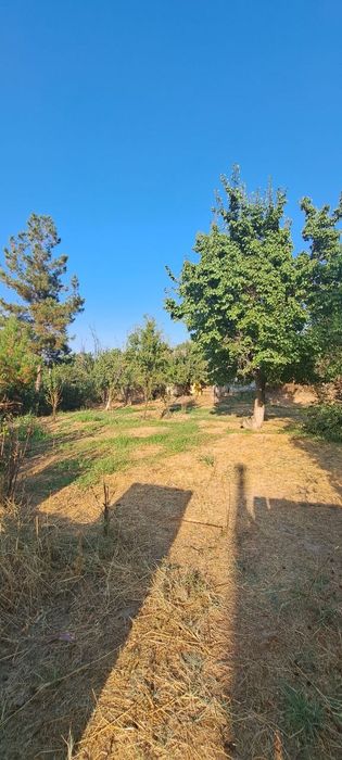 Дача Навбахор 6-соток земля для строительства Паркент Янгибазар