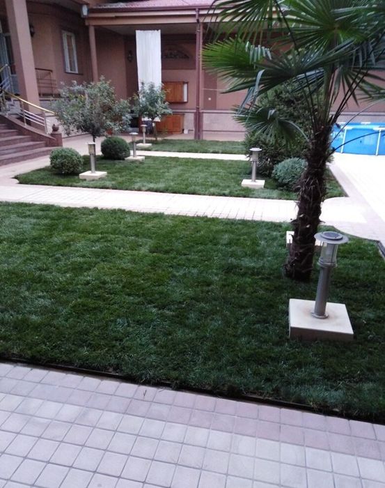 Газон уруг поливной система