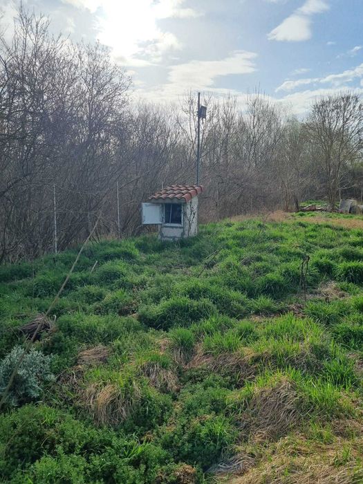 Casă de vacanța în Delta Dunarii UZLINA