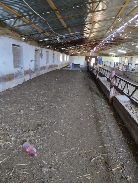 Жевотноводческая база