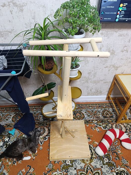 Стенд для попугаев