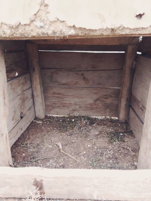 Итің үйшігі сатылады