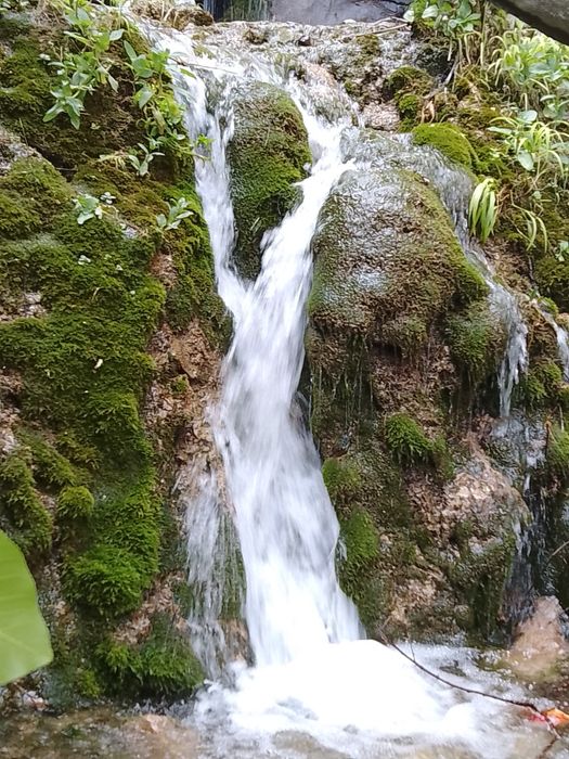 Кашкадаре вилояти Шахрисабз тумани Гелон кишлогида  дам олиш  маскани