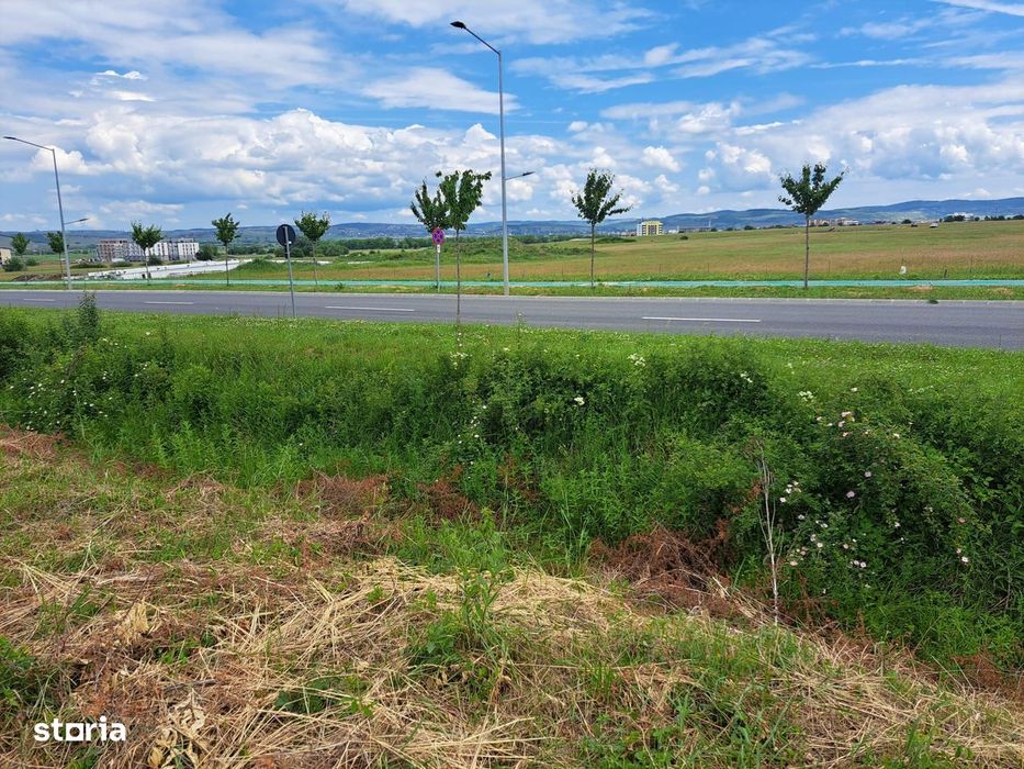 Oportunitate Teren Intravilan 9000Mp-Turnisor