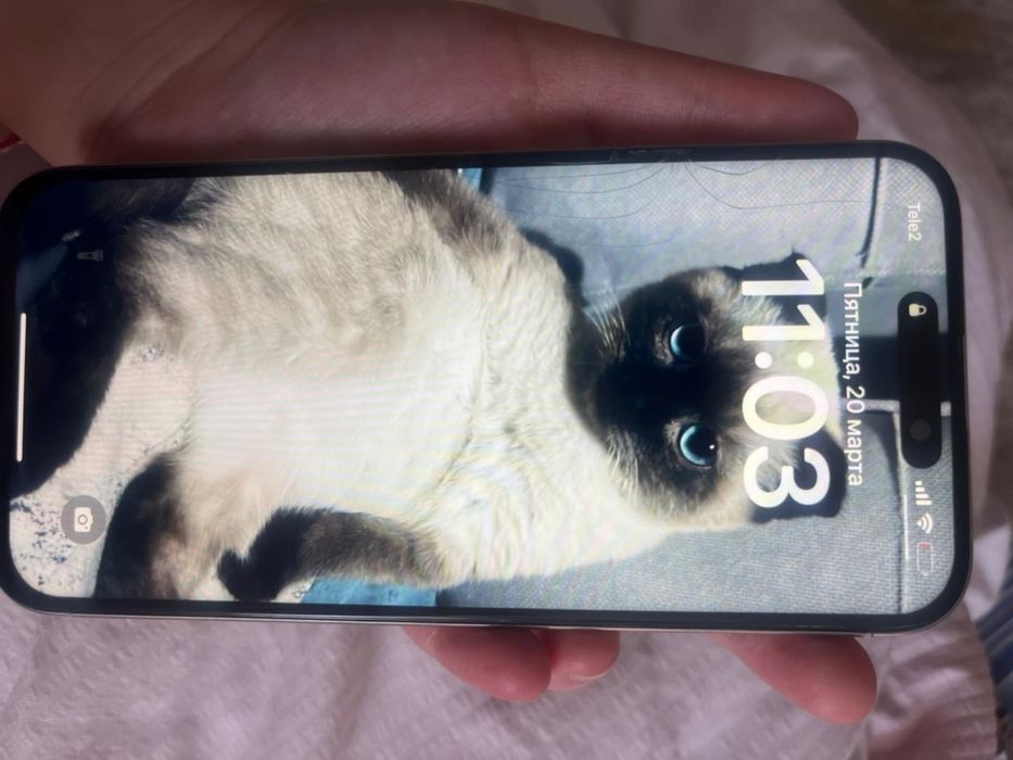 Айфон 15 pro max