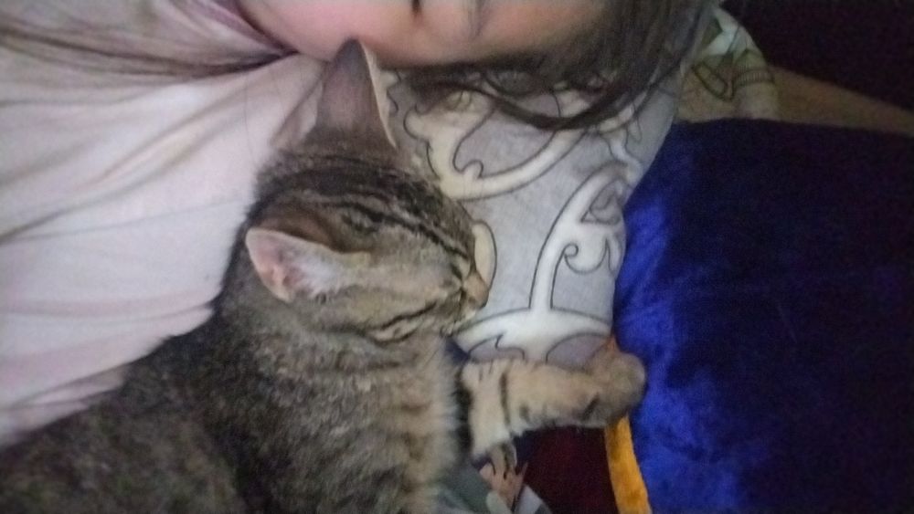 Зовут томи ночью спит обнимает