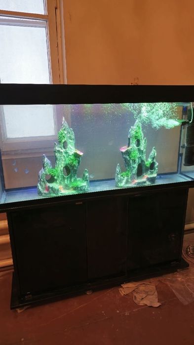 Akvarium katta sotiladi