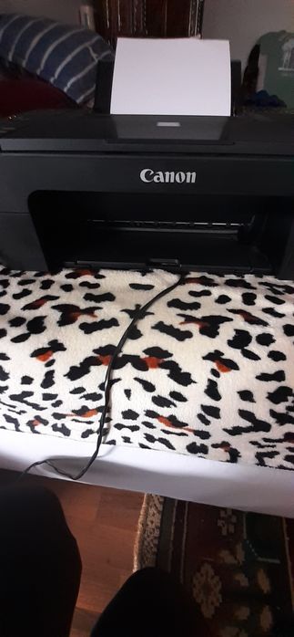 Imprimanta CANON