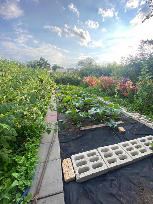 Просторная дача, район Федоровки