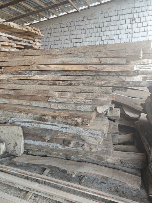 Карагач сосна сухие