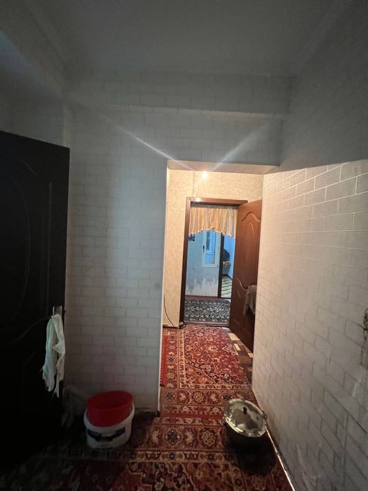 qoraqamish alo kurug da