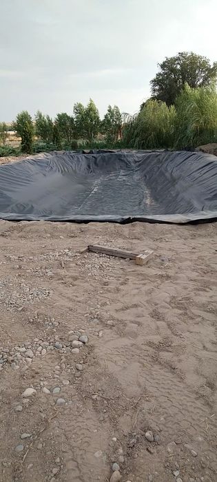 Пруд, ландшафт, био бассейн