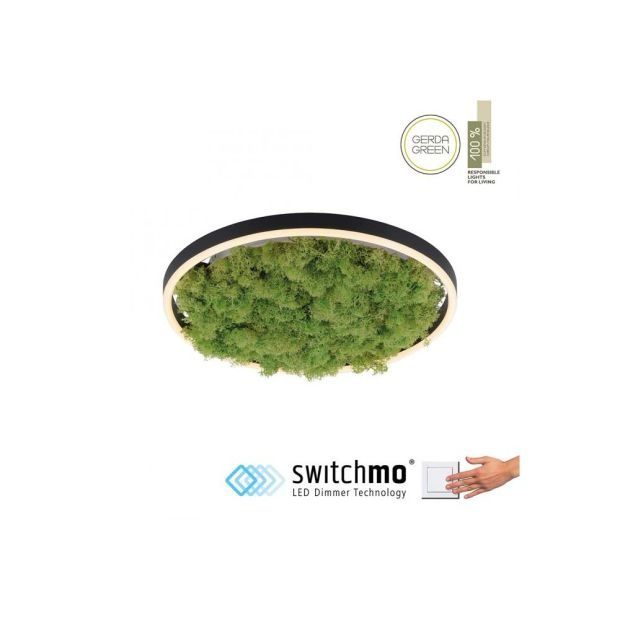 Плафониера от естествен исландски мъх