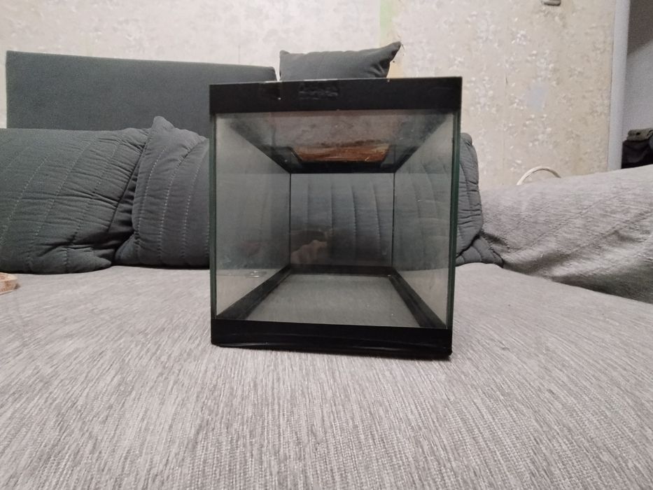 Акквариум 31 х 19