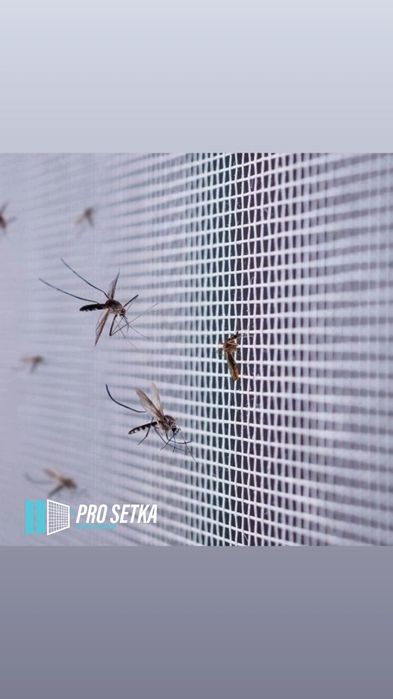 moskitni setka oyna eshikka | Москитные сетки  akfa setka | в ТАШКЕНТЕ