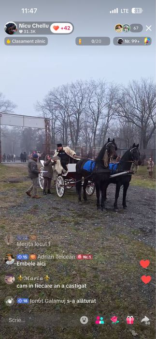 Vand armasar talie mare friz cu trapas