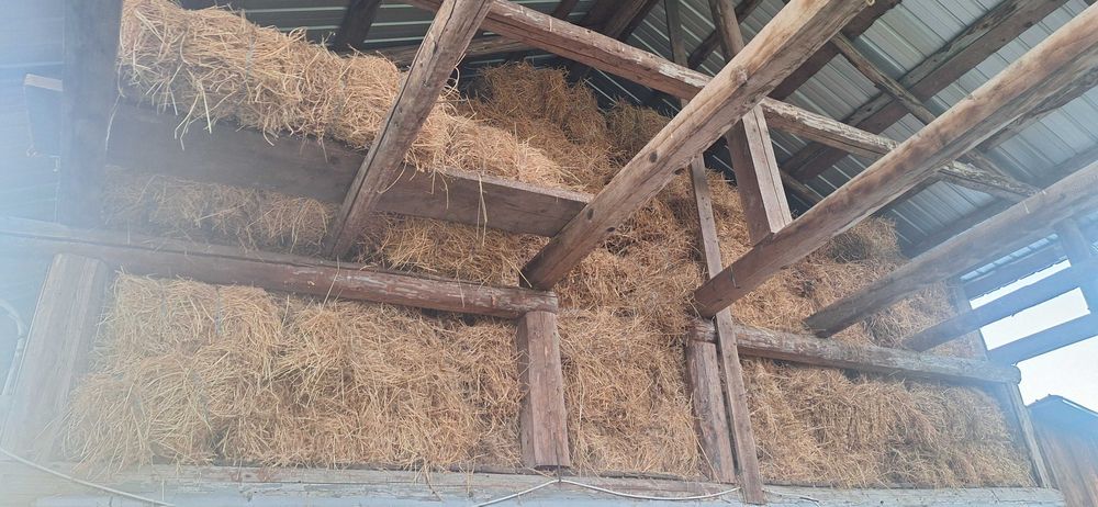 Baloți lucernă coasa 1 si 2