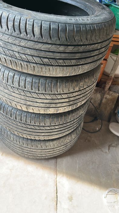 Жаздық дөңгелек узынағаш