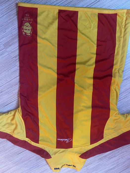 Юбилейна тениска Левски 110 години (двулицева)