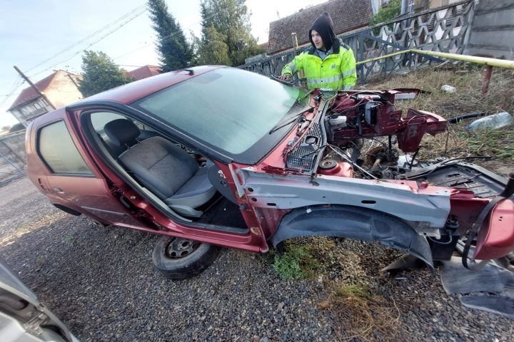 Maneta semnalizare Dacia Logan prima generatie