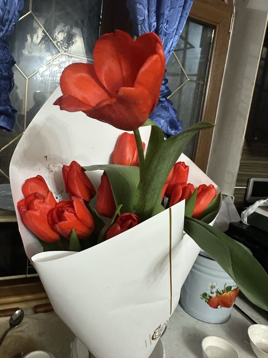 Тульпан свежий 5000 тг