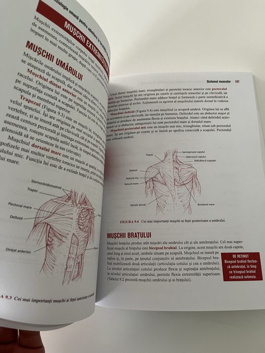 Barrons anatomie si fiziologie umana 2022
