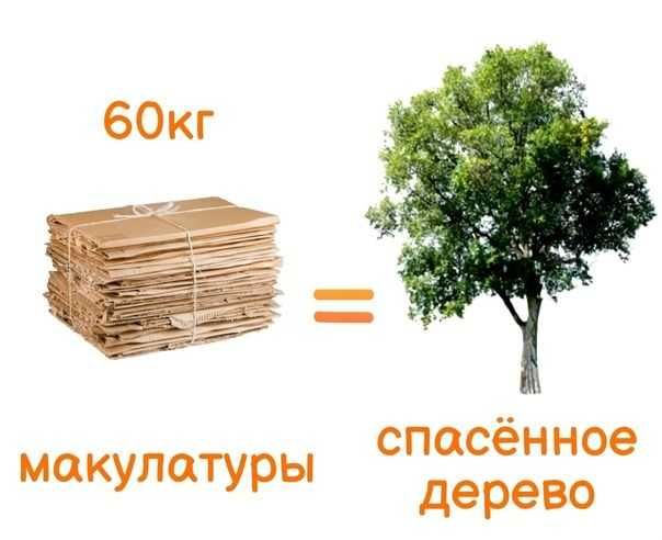 Макулатура вывоз по Ташкенту