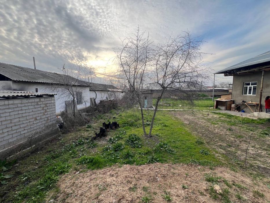 Yuqori Chirchiq Tumani istiqlol