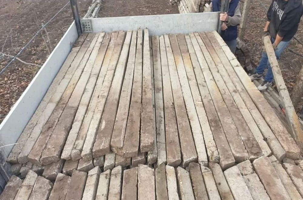 Spalieri cu armatura,stâlpii de beton