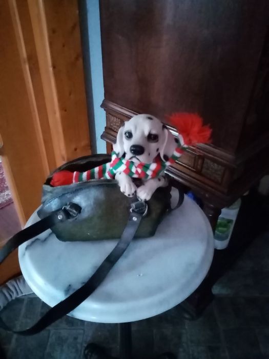 Statueta superba adusa din SUA.