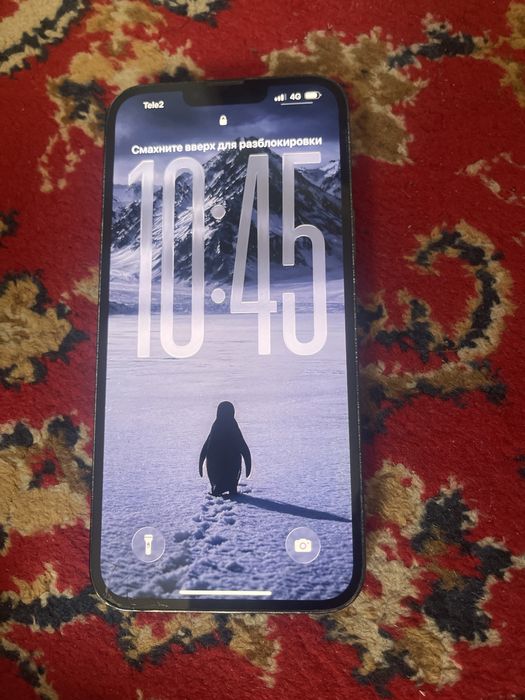 Iphone 13 pro max