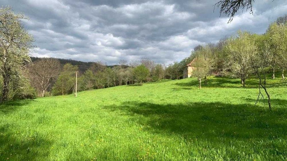 Vand urgent! Mada Muntii Apuseni! casa teren intravilan,10.000mp toate actele i regula, foarte linistit, in mijlocul naturii la 30 min de Geoagiu-Bai!