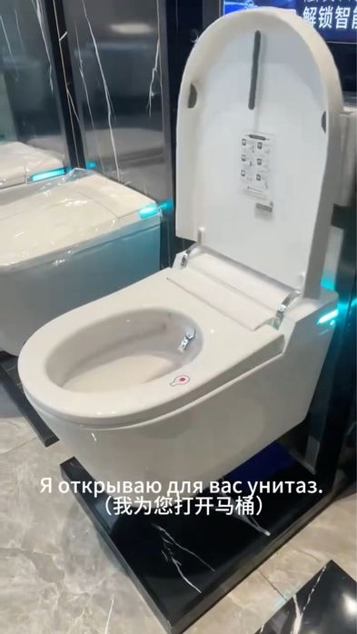 Русская версия умного туалета