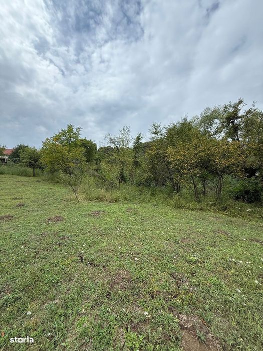 Poiana Câmpina - teren intravilan 3429mp - 50000 Euro