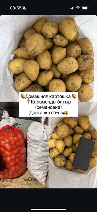 Караменды батыр (семеновка)