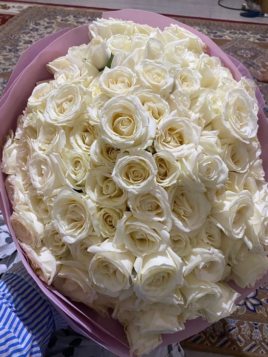 Цветы 101, белые пышные свежые