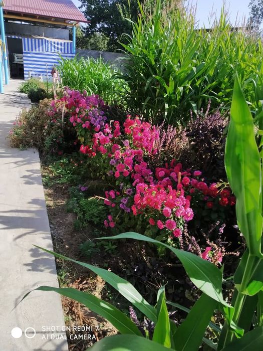 Участка , ери унумдор  12.7 сотих