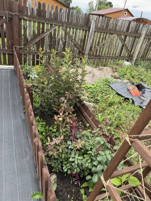 Продам дачу общество Вишенка / Гудок